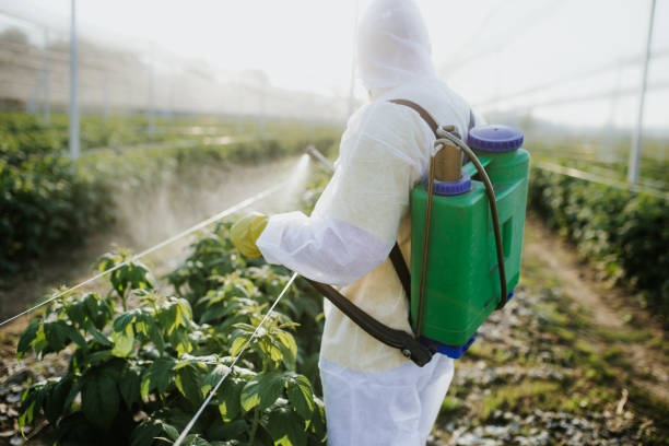 Best Pest Prevention Services  in Bluefield, VA